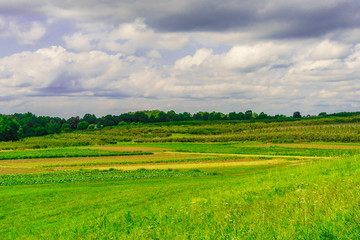 Fototapeta na wymiar Green field, landscape of meadow with grass Upstate New York