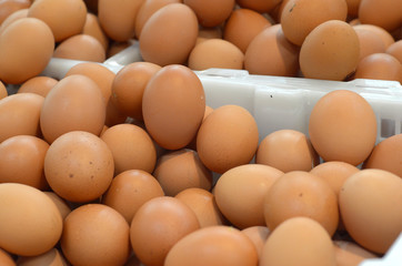 fresh chicken eggs in plastic basket at market