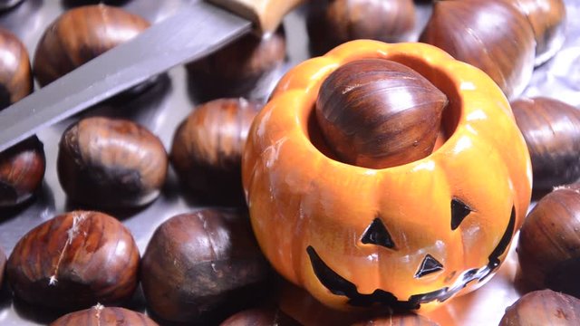 Castanya Castagna Ch&acirc;taigne Casta&ntilde;a Fruita Caldarroste Castanhas Castagne Castagnata Castanha Caldarrosta Fruit 밤 열매 Chestnuts Frutta video Halloween 