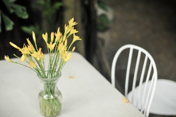 flowers in glass bottle, in the garden, terrarium, mini succulent and branch, flowers, glass of bottle decorations