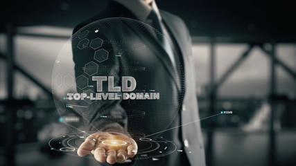 TLD-Top-Level Domain with hologram businessman concept