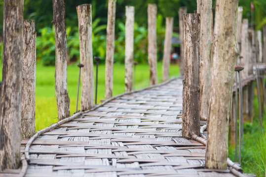 Bamboo bridge ( Su Tong Pe bridge) built with the faith of people and novice cross rice field at Suan Tham Phusama temple place of worship in Mae Hong Son province Thailand.