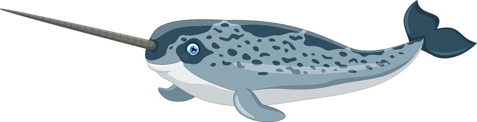 Vector illustration of cartoon narwhal isolated on white background © irwanjos