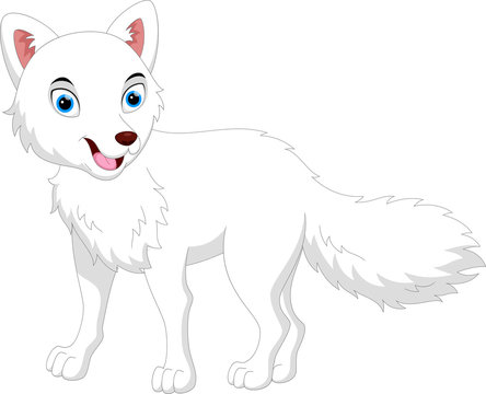 Vector Illustration of cartoon Arctic Fox isolated on white background