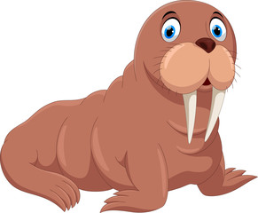 Vector illustration of cute cartoon walrus isolated on white background