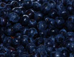 Moody Blueberries