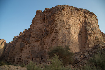 Sahara Tassili