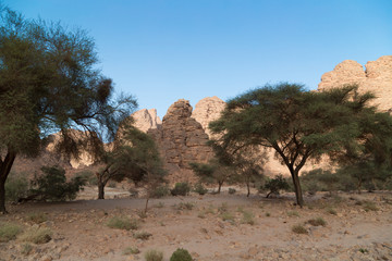 Sahara Tassili