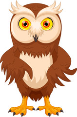 Vector illustration of cute cartoon owl isolated on white background