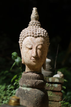 400 years old of ancient head stone buddha statue in the forest at historical museum Thailand, art crafting sculpture, head, face, lobe, ear, hair, nose 
