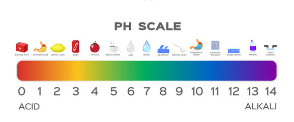 ph scale vector graphic . acid to base