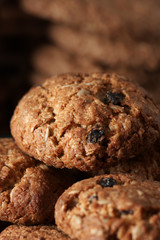 Oat cookies close-up