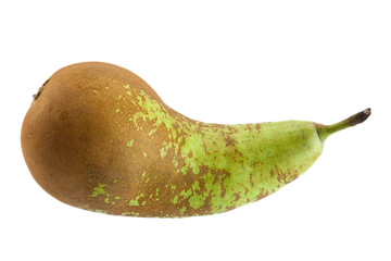 Long pear fruit on white © Leonid Nyshko