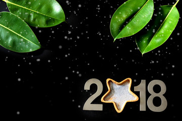 Tropical New Year 2018, leaves of the ficus on a black background