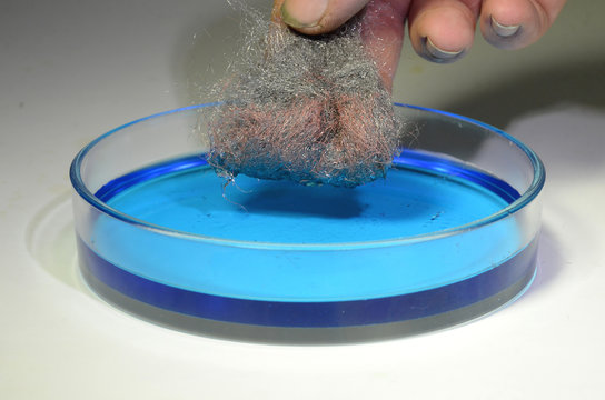 A Tuft Of Steel Wool Has Been Submerged In A Solution Of Copper Sulfate. Thereby A Thin Layer Of Metallic Copper Has Settled On The Steel Wool.