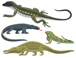 Reptile and amphibian colorful fauna vector illustration reptiloid predator reptiles animals.