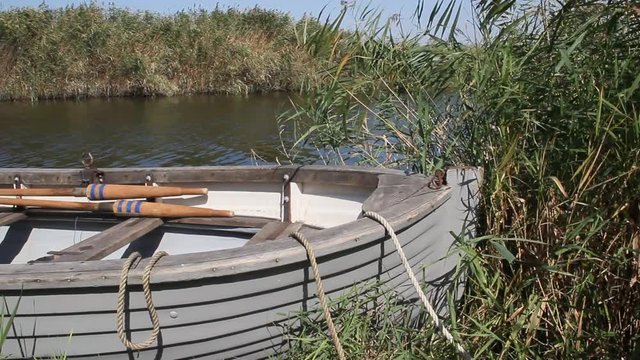 Rowing boat in the reeds