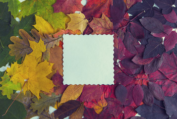 Creative layout made of flowers and leaves with paper card note. Flat lay. Concept of autumn nature