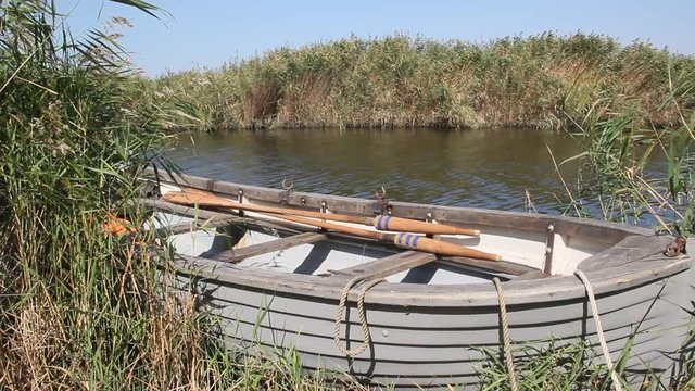 Rowing boat in the reeds