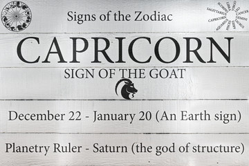 Hand Painted Wood Panel Zodiac Sign Capricorn