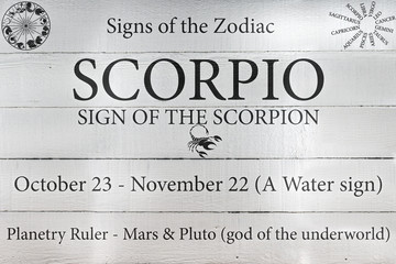 Hand Painted Wood Panel Zodiac Sign Scorpio