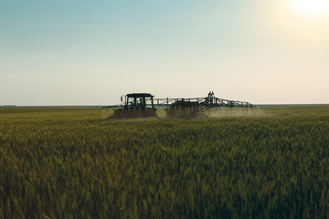 Fototapeta na wymiar wheat processing