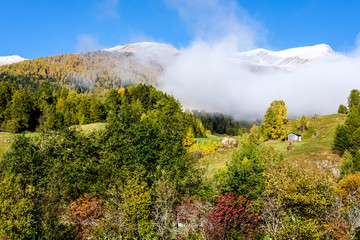 Herbstlandschaft im Vinschgau