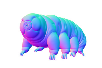 tardigrade, water bear isolated on white background
