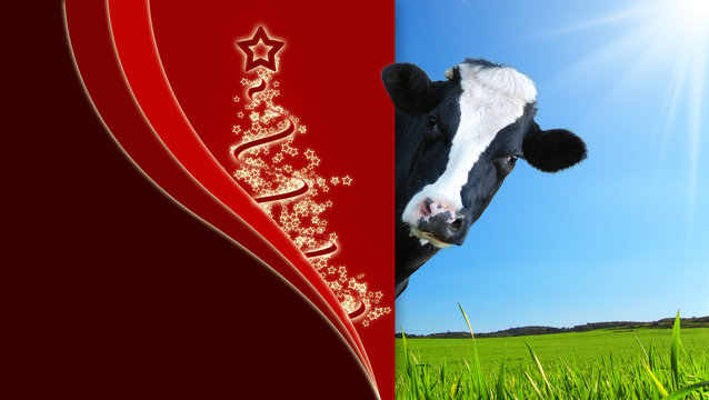 Auguri Natale con mucca che guarda e panorama con prateria e raggi di sole