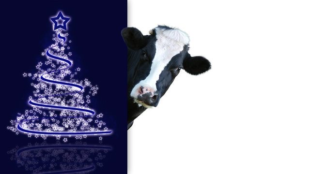 Auguri Natale con mucca che guarda 