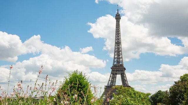 Eiffel Tower video from Trocadero Place with flowers on foreground.