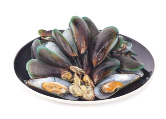 Fresh mussel on white background