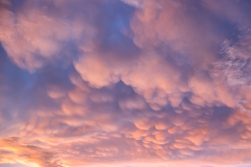 Mammatus cloud in sunset sky. A pattern of pouches thunderstiorm cumulonimbus rainclouds.