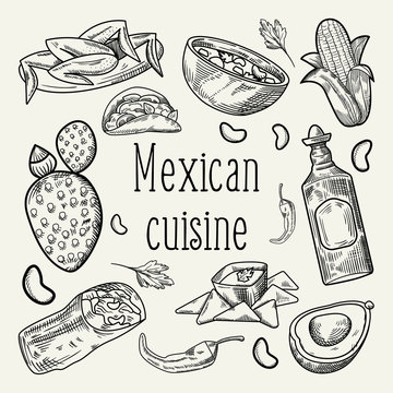 Mexican Food Hand Drawn Outlined Doodle. Mexico Traditional Cuisine. Vector illustration