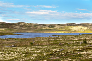 barren tundra landscape landscape in the north of Russia