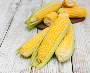 Fresh corn on the cob