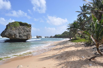 Coastline in Barbados