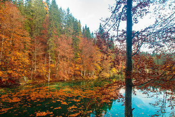 Autumn foliage at the alpine lake