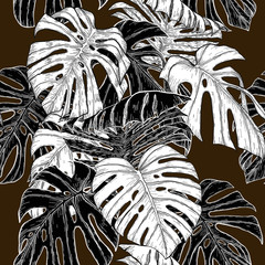 Monstera pattern by hand drawing.Monstera vector seamless on vintage background.Vector leaves art highly detailed in line art style.Monstera is plant of tropical.Leaf for paint to pattern or wallpaper