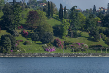  Lake Como; Bellagio, Villa Melzi gardens