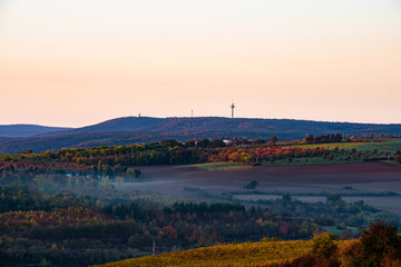 fall leaves at the haardt, bismarck tower