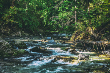 Creek in High Tatras mountains, Slovakia