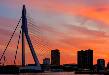 Rotterdam city cityscape with Erasmus bridge at sunset