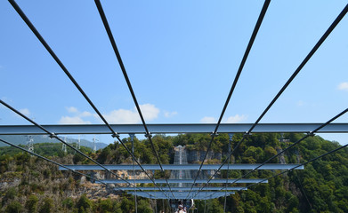 Bearing cables of the suspension bridge