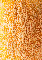 texture of rind melon close-up