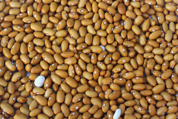 Haricot Bean Background. Organic Food.
