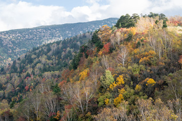 秋の西吾妻山