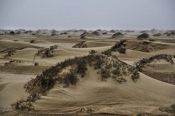 Fototapeta na wymiar namib desert