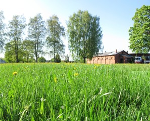 Summer scenery detail