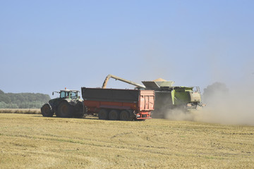 Obraz premium Erntezeit in Mecklenburg-Vorpommern
